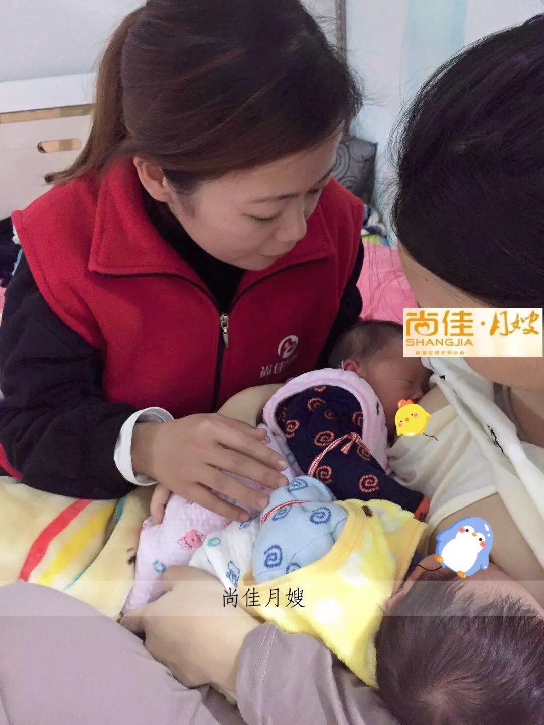 尚佳專業(yè)月嫂丨初生嬰兒需要吃多少？